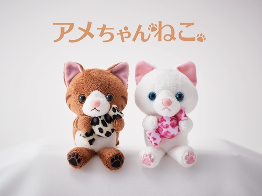 【キジトラ＆白ねこ登場！】アメちゃんねこ付宿泊プラン（朝食付き）